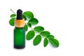 Green Moringa  Malunggay  leaf and essential oil extracted . Royalty Free Stock Photo