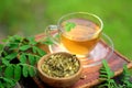 Moringa herbal tea