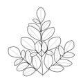 Moringa leaf illustration Royalty Free Stock Photo