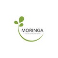 Moringa leaf illustration Royalty Free Stock Photo