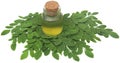 Moringa leaves with extract Royalty Free Stock Photo