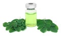 Moringa leaves with medicine in vial Royalty Free Stock Photo