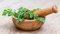 Moringa leaves and mortar pestle