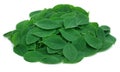 Moringa leaves