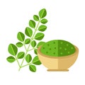 Moringa plant with leaves and seed powder. Vector illustration.