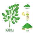 Moringa set with powder, oil and capsules in flat style isolated on white.