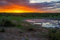 Moringa waterhole Halali camp in Etosha national park at sunset Royalty Free Stock Photo