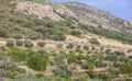 Moriscos green belt along the Sierra Grande hillside, Hornachos, Extremadura, Spain Royalty Free Stock Photo