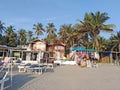 Morjim beach, Goa, India