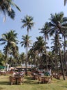 Morjim beach, Goa, India