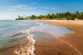 Morjim beach. Wooden fishing boats and palm trees, Goa, India