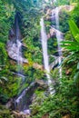 Mork Fa waterfall in Chiangmai