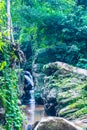 Mork Fa waterfall in Chiangmai province Royalty Free Stock Photo