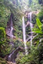 Mork Fa waterfall in Chiangmai province Royalty Free Stock Photo