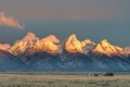 Mormon Row at Antelope Flats during sunrise in Grand Teton National Park, Wyoming Royalty Free Stock Photo