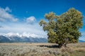 Mormon Row at Antelope Flats and Grand Teton National Park in Wyoming Royalty Free Stock Photo