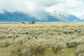 Morom Row at Antelope Flats and Grand Teton National Park in Wyoming Royalty Free Stock Photo