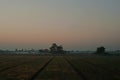 Morning at agriculture field Royalty Free Stock Photo