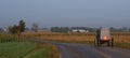 Morning Amish Buggy Royalty Free Stock Photo
