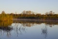 Morning atmosphere with fog at the forest lake