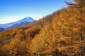 The morning atmosphere of Mount Fuji and the trees turns yellow in autumn Royalty Free Stock Photo