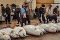 Morning auction of luxurious large frozen tuna fish at the Tsukiji market in Tokyo Japan