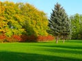 Morning autumn landscape