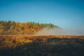 Morning autumn landscape. Colorful trees and mist, indian Summer Royalty Free Stock Photo