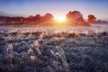 Morning autumn landscape on frosty meadow at sunrise. Hoarfrost on the grass. Royalty Free Stock Photo