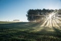 Morning mist illustrates the sun`s rays in Darlington, MD - 3