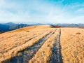 Morning autumn mountain road view Royalty Free Stock Photo