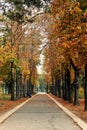 Morning autumn park Chisinau, Moldova