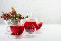 Morning autumn teatime with red herbal tea in transparent tea pot, cup with hawthorn, rosehip berry, dried leaves in sun beam. Royalty Free Stock Photo