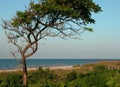 Morning on the Beach