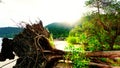 Morning on the beach of kohrong Royalty Free Stock Photo