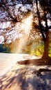 Morning on the beach of kohrong Royalty Free Stock Photo