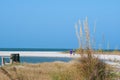 Morning beach sea oats