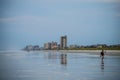 Morning Beach Walk