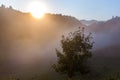 Morning beautiful sunrise Slovenia mountains meadow Royalty Free Stock Photo