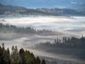 Morning in Beskidy, KoniakÃÂ³w, Poland