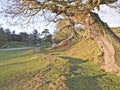 Morning in Bradgate Park Royalty Free Stock Photo