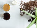 Morning breakfast coffee for two and creamer with growing plant in coffee mug and coffee beans Royalty Free Stock Photo