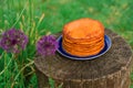 Healthy and wholesome food from pumpkin. Pancakes on a blue dish stand on a wooden round table. Royalty Free Stock Photo