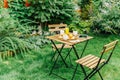 Morning Breakfast In Green Garden With French Croissant, Coffee Cup, Orange Juice, Tablet and Notes Book On Wood Table Royalty Free Stock Photo