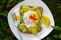 Morning Breakfast Poached Egg with Avocado on Toast