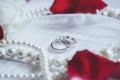 Morning bride. Wedding rings, rose petals and pearl necklace. We Royalty Free Stock Photo