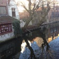 Morning in Brugge