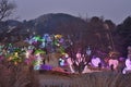 Morning Calm garden neon light