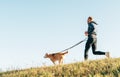 Morning Canicross exercise. Man runs with his beagle dog