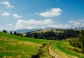 Morning in the Carpathians. Spring landscape.